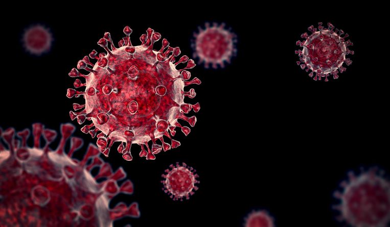 Een 3D-weergave van het coronavirus. Beeld Alamy Stock Photo