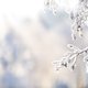 Meteoroloog over diepvrieskou: ‘We houden de komende weken licht winters weer’