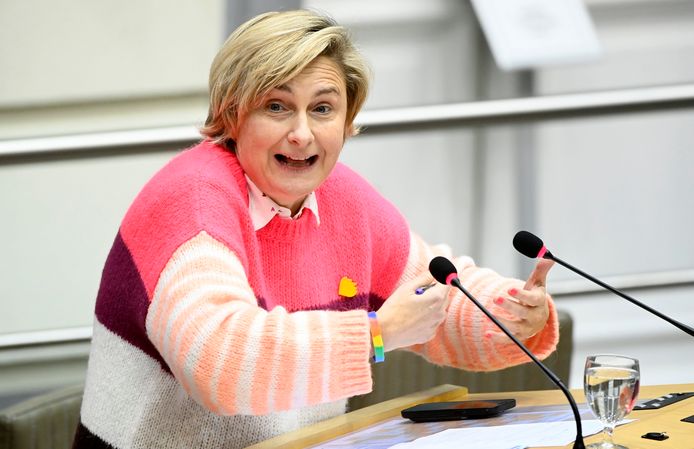 Vlaams minister van Welzijn en Gezin Hilde Crevits (CD&V) tijdens de plenaire in het Vlaams Parlement