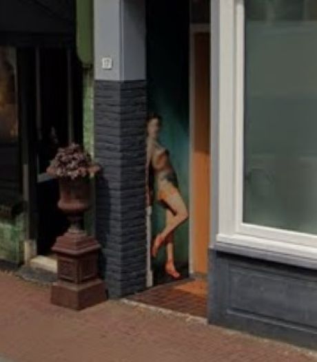 5 x gespot in Dordrecht op Google Street View
