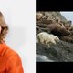 Alle natuurdocumentaires draaien tegenwoordig om de mens