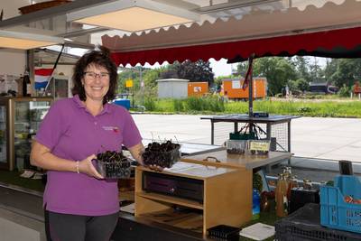 Verkoop bij De Kersenkar valt nog net niet stil door werk aan de Provincialeweg: ‘Denk 70 procent mi