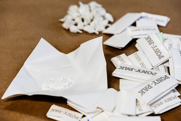 Cocaïne (foto ter illustratie).