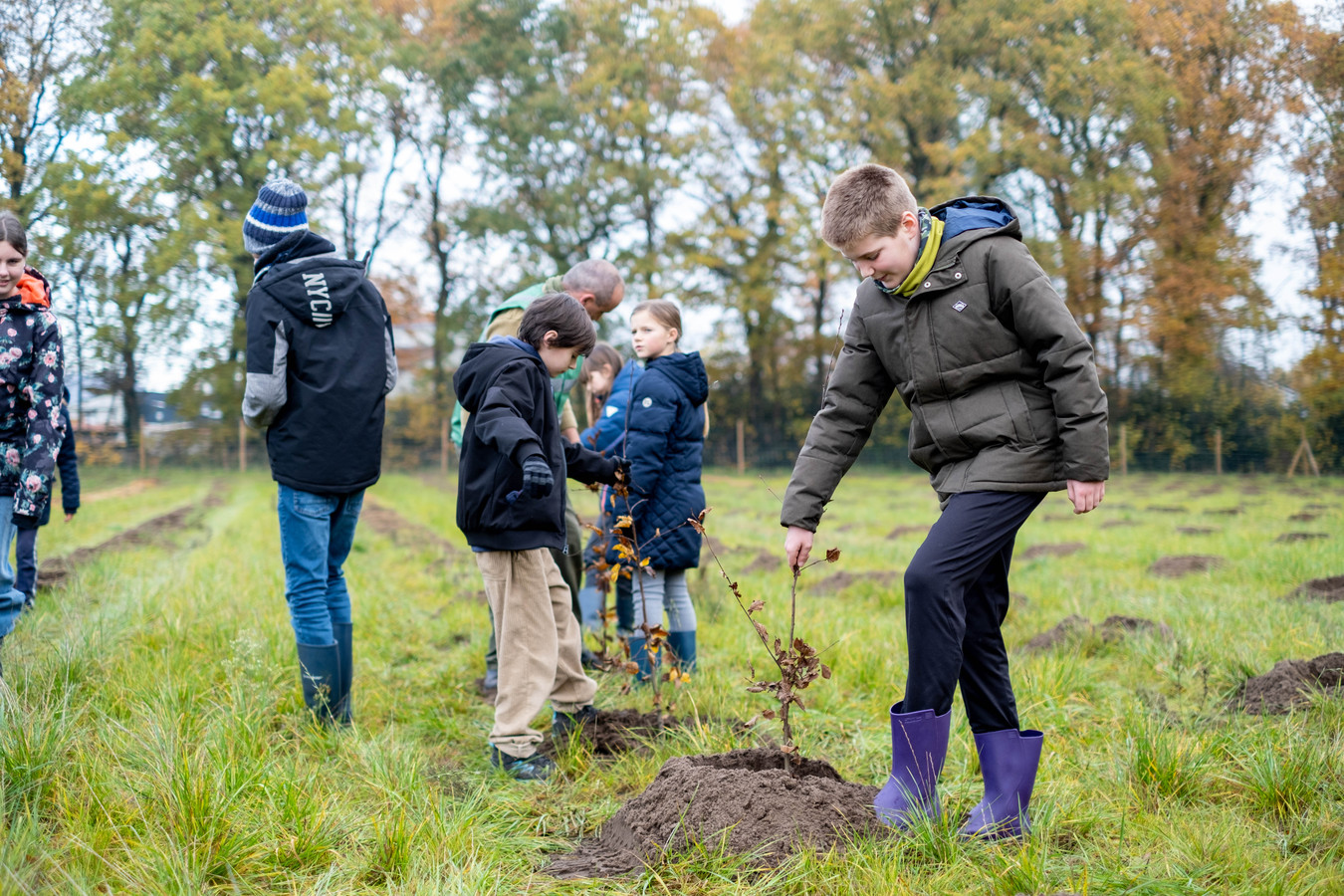 branstbos-krijgt-2-400-nieuwe-bomen-foto-hln-be