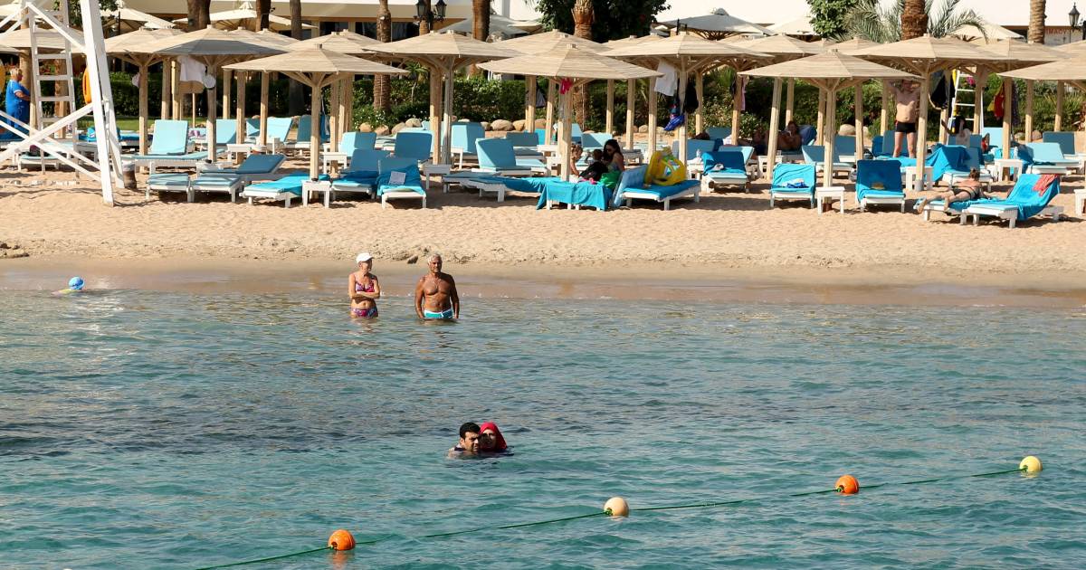 Hai-Angriff in Ägypten: Ein schwer verletzter Österreicher (68) erreicht den Strand, stirbt aber in einem Krankenwagen |  Im Ausland