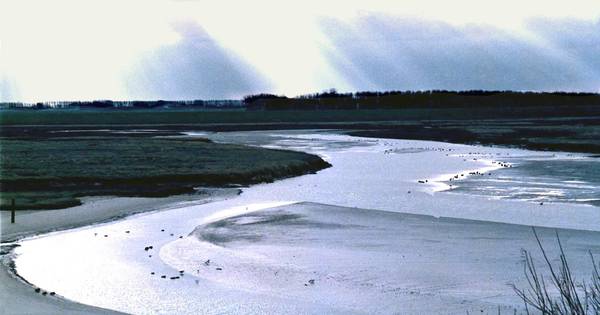 'Kwaliteitsimpuls' Retranchement door uitbreiding Het Zwin | Zeeland - BN DeStem