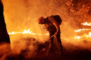 Een brandweerman aan het werk in de staat Jalisco.