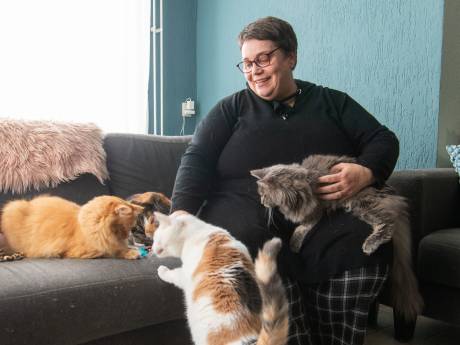 Belinda (52) ziet steeds meer zieke katten in haar kittenopvang: ‘Het heeft me heel veel tranen gekost’