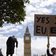 Hele wereld ondertekent Britse petitie voor nieuw Brexit-referendum