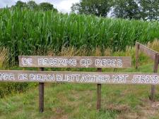 
In Buurse klinkt het stille boerenprotest in dialect à la Loesje: ‘Angst is vuur efkes. Spiet voor altied’