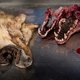 'Wolf niet neergelegd als grap'