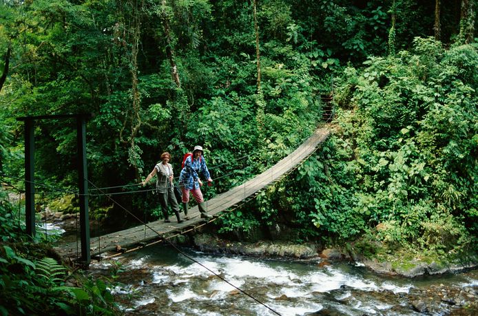 Het Monteverde Cloud Forest Reserve in Costa Rica.