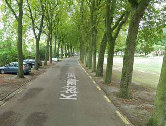 Gedaan met parkeren op de Kastanjedreef op Sint-Anneke Plage: “De groendienst meldde schade aan de wortels van de bomen”