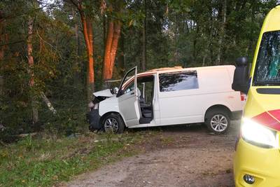 Busje met hond en drie mannen rijdt tegen boom in Liessel