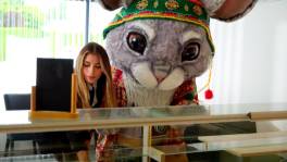 Chinchilla is altijd op zoek naar het perfecte plaatje