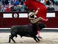 Stier neemt torero op de horens in Madrid