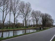 Natuurvereniging maakt bezwaar tegen kappen bomen in Maassluis: ‘We moeten er zuinig op zijn’