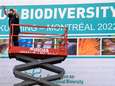 COP15 Biodiversité: Un sommet crucial s'ouvre mercredi à Montréal pour “les fondements mêmes de l’existence humaine”