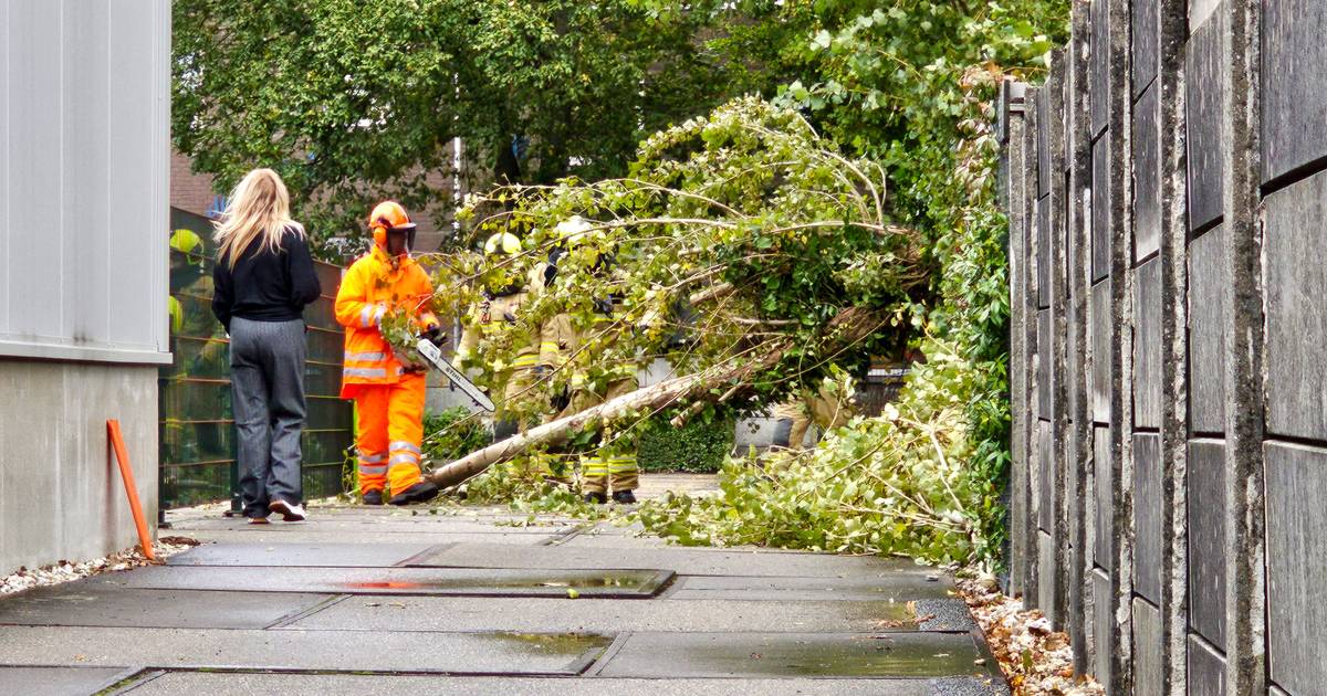 Bomen sneuvelen en minder treinen leerlingen naar huis en bruggen