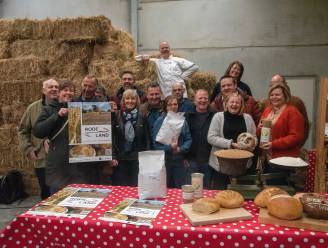 Van de akker tot de bakker: nieuw brood Rodeland te koop bij acht ambachtelijke bakkers met tarwe uit Lemberge