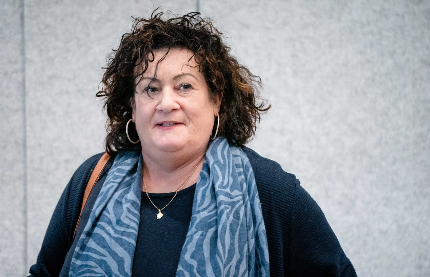 Caroline van der Plas wil timeout ‘De stikstofkaart is de grootste blunder die ze ooit hebben