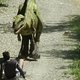 Rémi Gaillard jaagt arme jogger de stuipen op het lijf