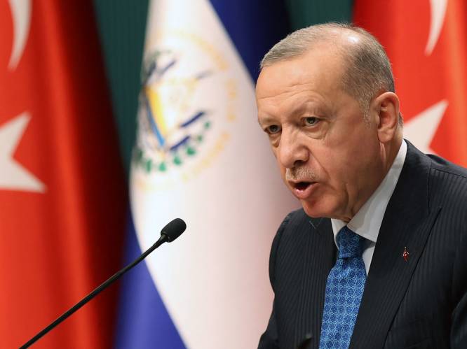 Erdogan vervangt hoofd statistiekbureau na rel over inflatiecijfers