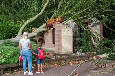 Actie om kapel Lepelstraat te herbouwen na verwoestende storm