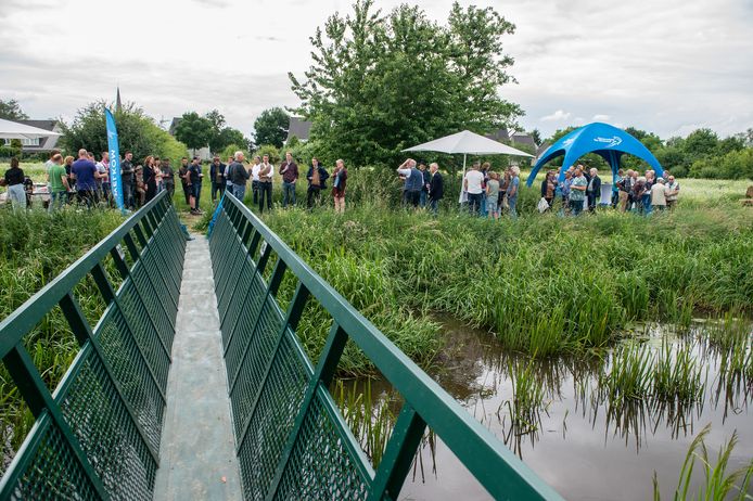 Een nieuwe wandelbrug over de Reusel werd bij de feestelijke afsluiting van het beekherstelproject bij Diessen in gebruik genomen.