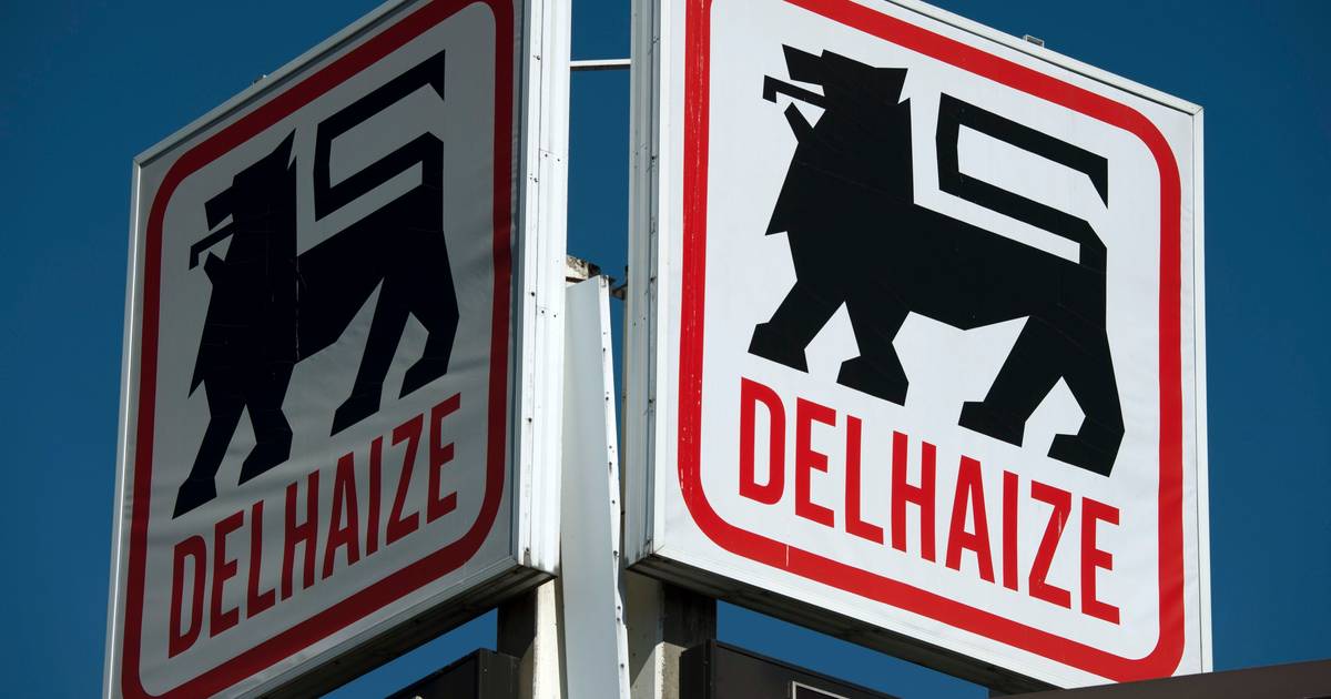 Delhaize enters the hot takeaway market |  Inland