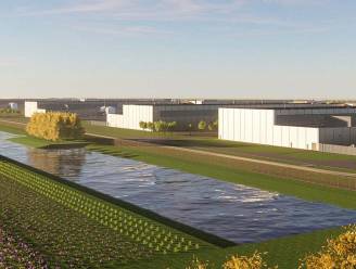 Nederlandse Eerste Kamer roept overheid op geen grond te verkopen aan Facebook-moederbedrijf Meta