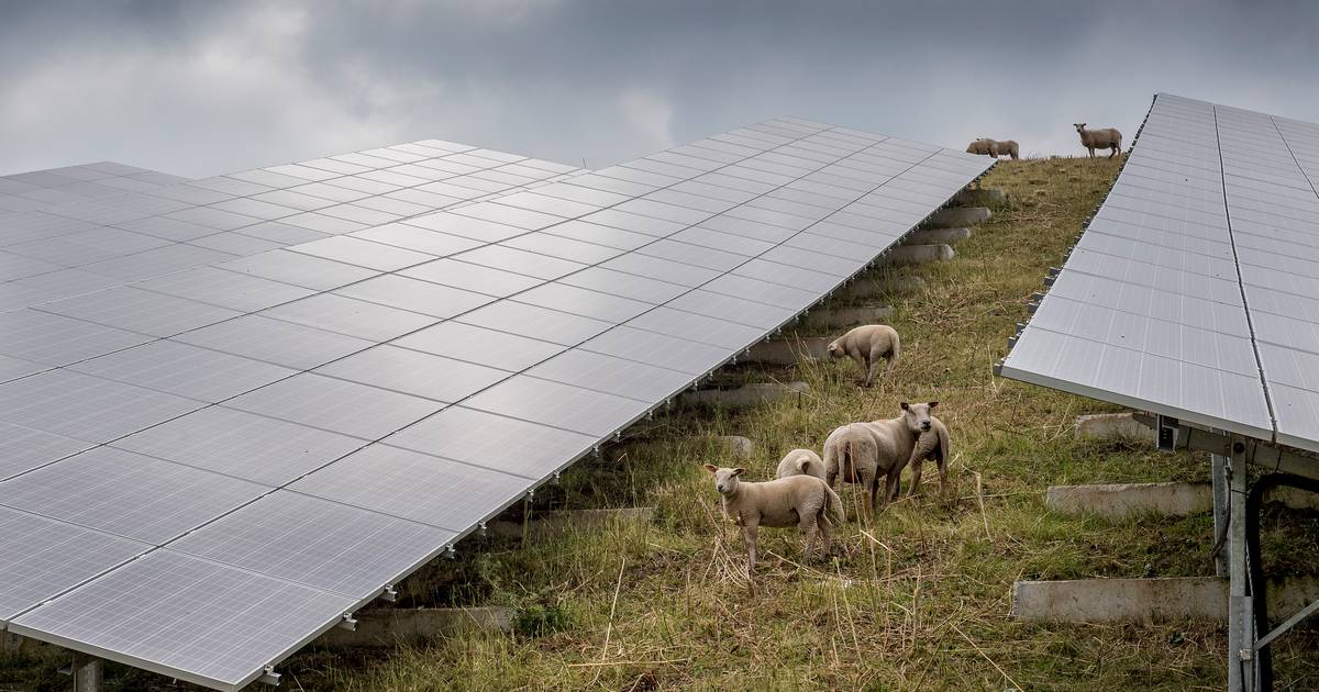 Politiek steunt aanleg eerste zonnepark in Daarle