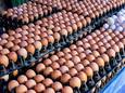 Als productie van eitje 14 cent kost, waarom betalen we dan dubbele? ‘Truc van de supermarkt’