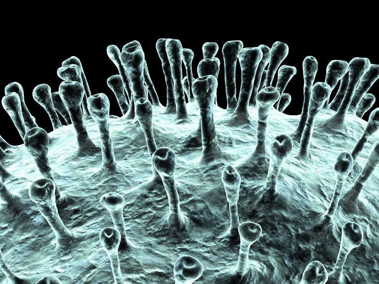Onderzoek moet uitwijzen of de Engelse variant van het coronavirus besmettelijker is. Beeld Getty Images/Science Photo Libra