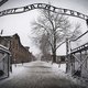 Trauma's Holocaust blijken erfelijk