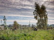 Nieuw voedselbos bij Etten-Leur krijgt 3700 bomen en struiken