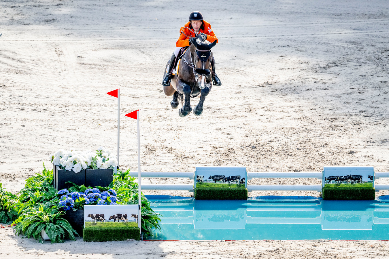 Maikel van der Vleuten ‘Nederland heeft meer topruiters dan toppaarden