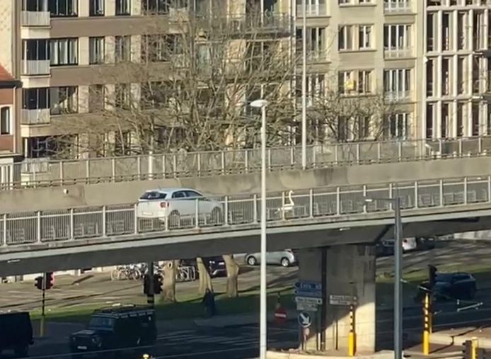 De zwaan drentelde meer dan een kwartier op de fly-over.