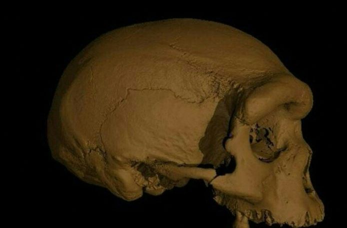 De schedel uit Harbin.