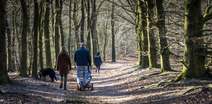 Wandelaars genieten in de Kaapse Bossen, midden op de Utrechtse Heuvelrug, van een zonnige maar koude winterdag. Foto Lex van Lieshout
