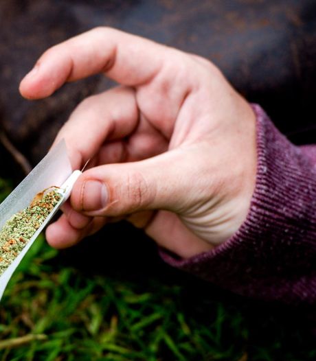 L'Allemagne va cultiver son propre cannabis
