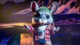 Als je ooit verliefd wil worden, bel Chinchilla