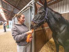 Paardencentrum in Zwolle zet ruiters vooraf op de weegschaal: ‘Alles voor het welzijn van de dieren’