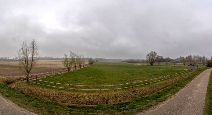 Het perceel aan de Oude Beijmoerseweg.