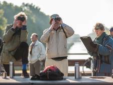 Rotterdam vogelspotwalhalla van Zuid-Holland: meeste soorten hier gespot
