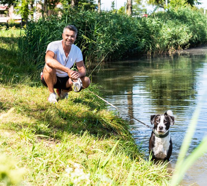 Dimitri (55) en zijn hond Arie lopen, met name in de zomer, dezelfde route door de wijk Zuidhoven. Arie is dol op zwemmen.