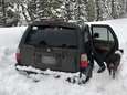 Politie vindt ingesneeuwde man terug die vijf dagen in zijn auto overleefde op ... tacosaus