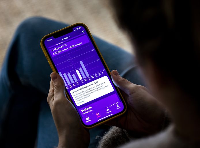 De mobiele app van Eneco met verbruiksgegevens.