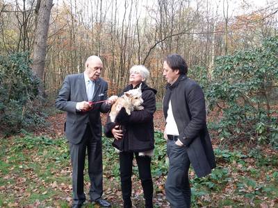 Hondje dat Nijmeegs 'spoordrama' overleefde, is terecht