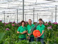 Tips voor een uitje in de regio: Open dag in Groentekas, Vestingsloop en duo-concert Aurora 